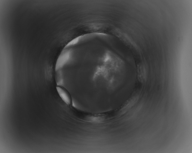 X0000100940563200807151308