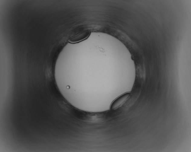 X0000100940564200807151308