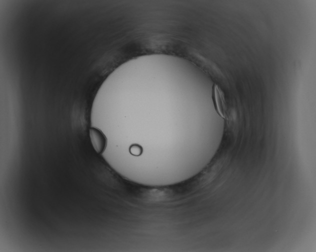 X0000100940566200807151308