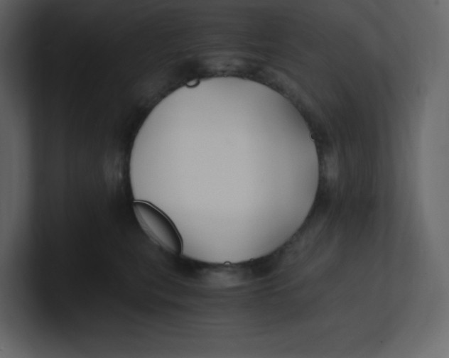 X0000100940567200807151308