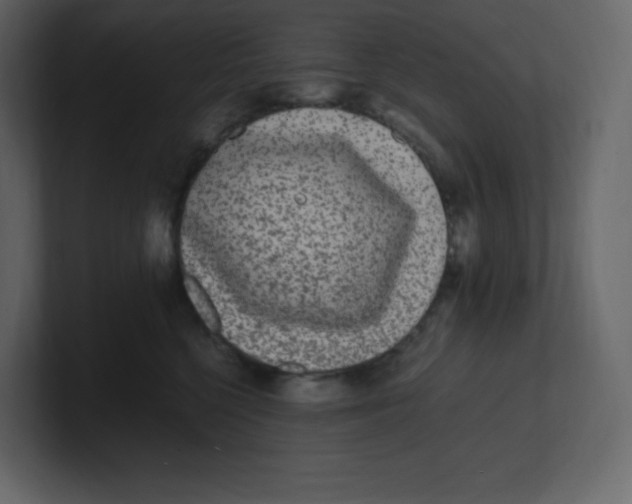 X0000100940568200807151308