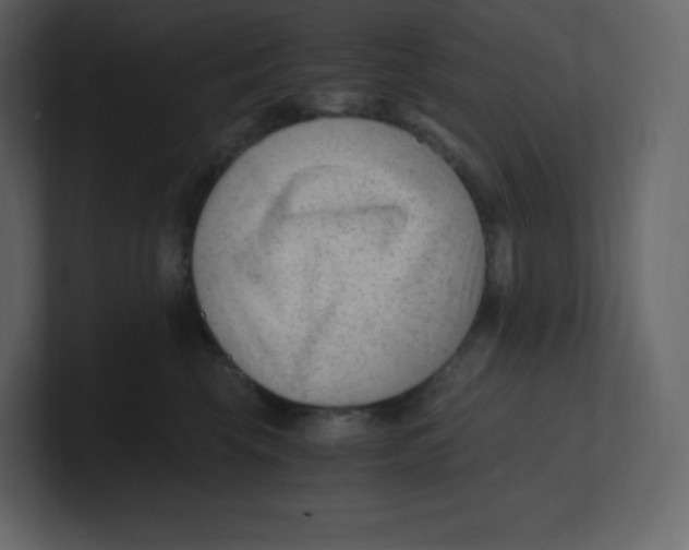 X0000100940569200807151308