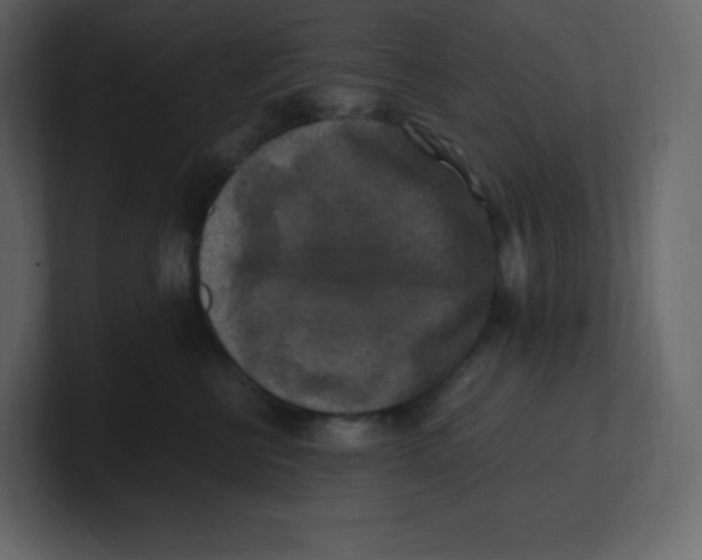 X0000100940570200807151308