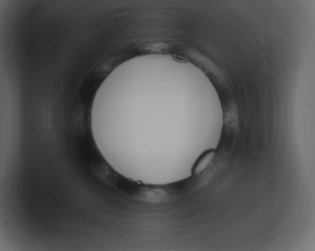 X0000100940572200807151308