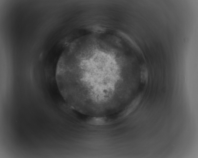 X0000100940573200807151309