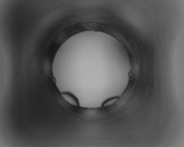 X0000100940574200807151309