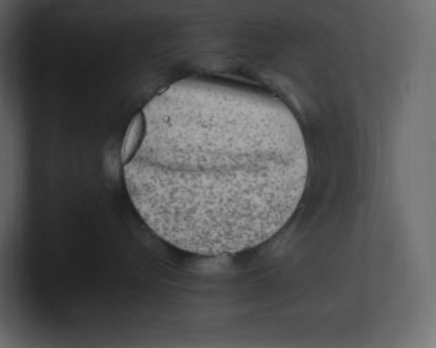 X0000100940576200807151309