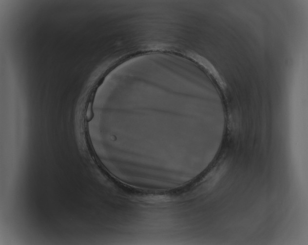 X0000100940577200807151308