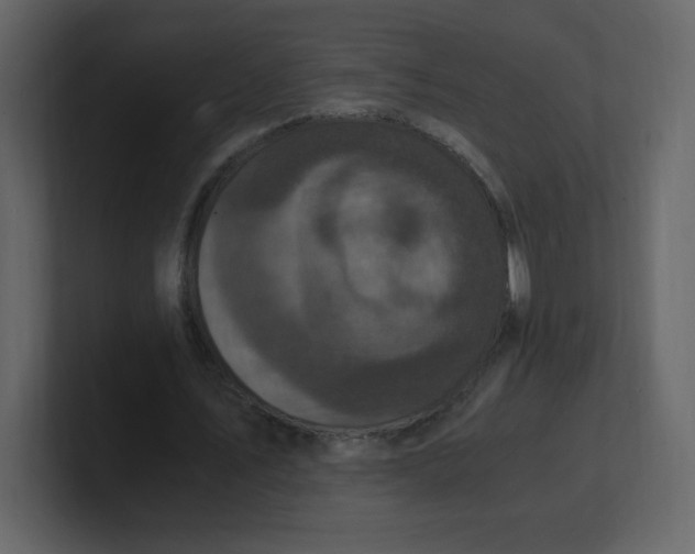 X0000100940579200807151308