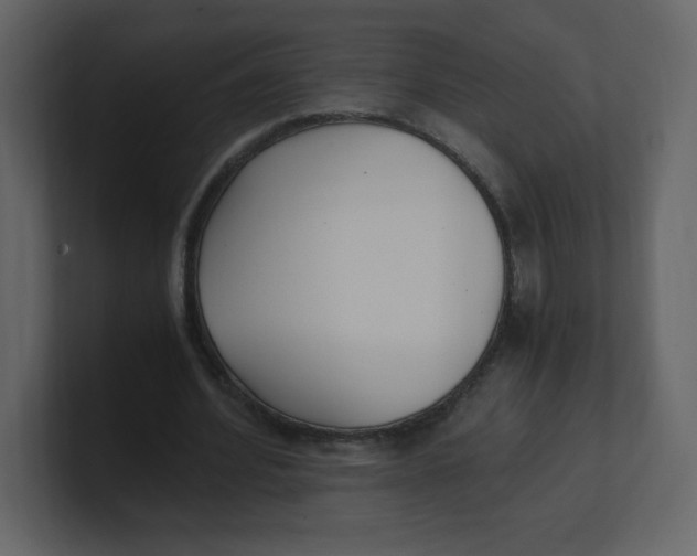 X0000100940580200807151308