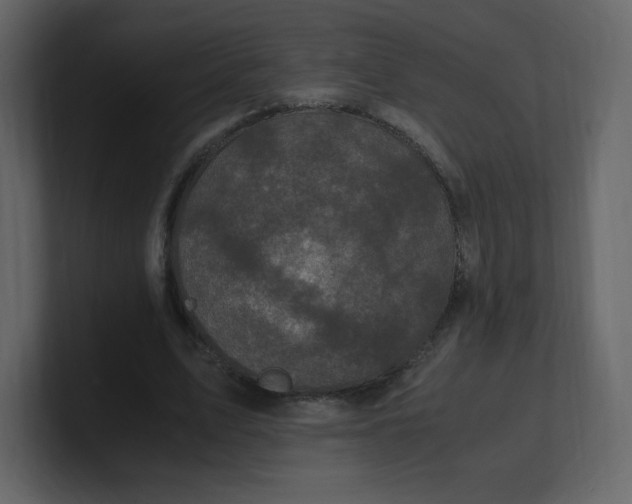 X0000100940583200807151308