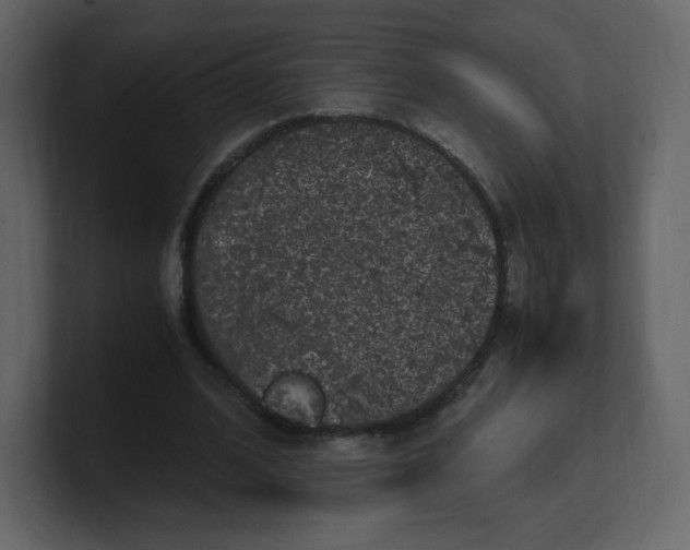 X0000100940584200807151308