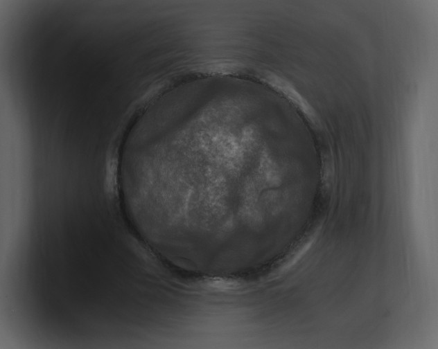 X0000100940585200807151308