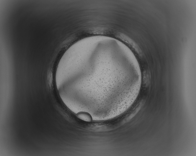 X0000100940589200807151308