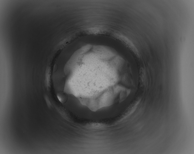 X0000100940590200807151308