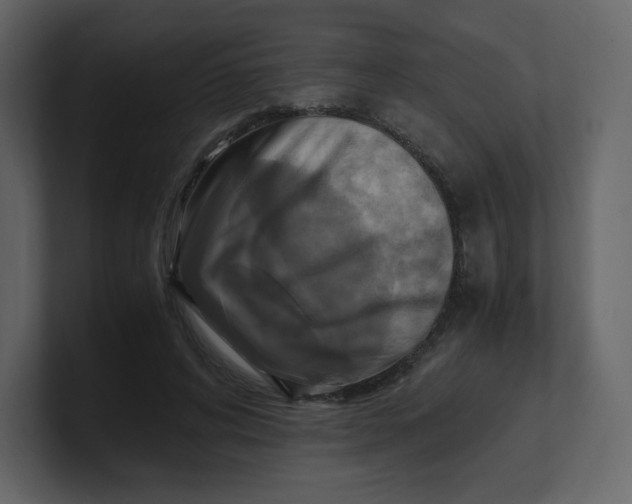 X0000100940592200807151308