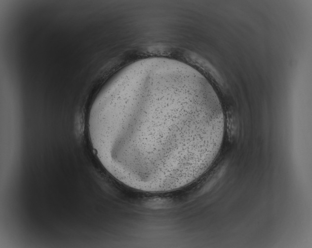 X0000100940593200807151308