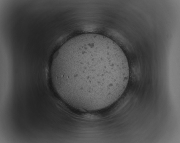 X0000100940596200807151308