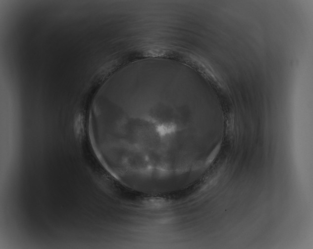 X0000100940598200807151308