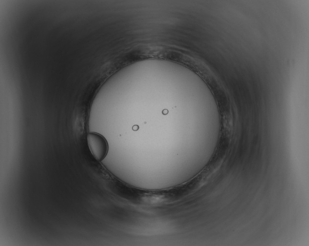 X0000100940602200807151307