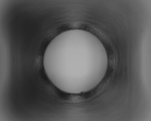 X0000100940605200807151307