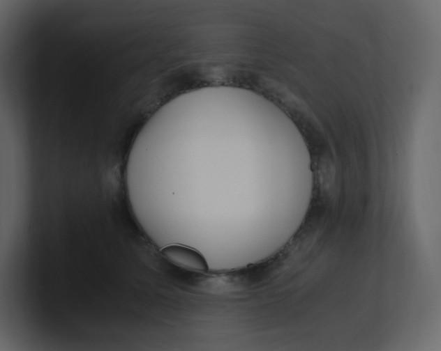 X0000100940611200807151307