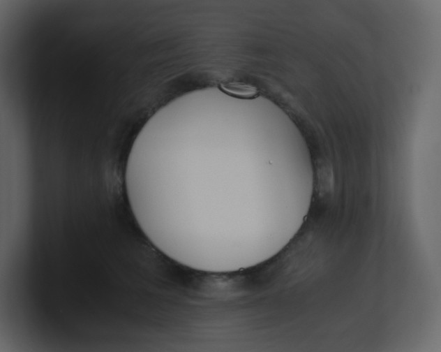 X0000100940613200807151307