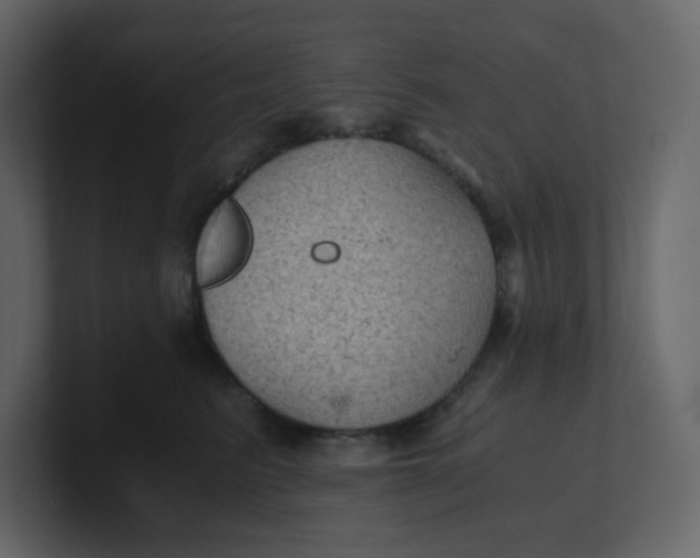 X0000100940615200807151307