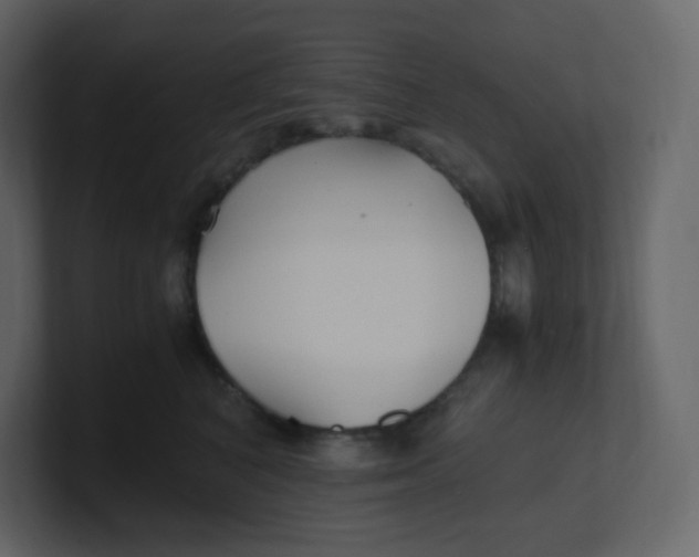 X0000100940616200807151307