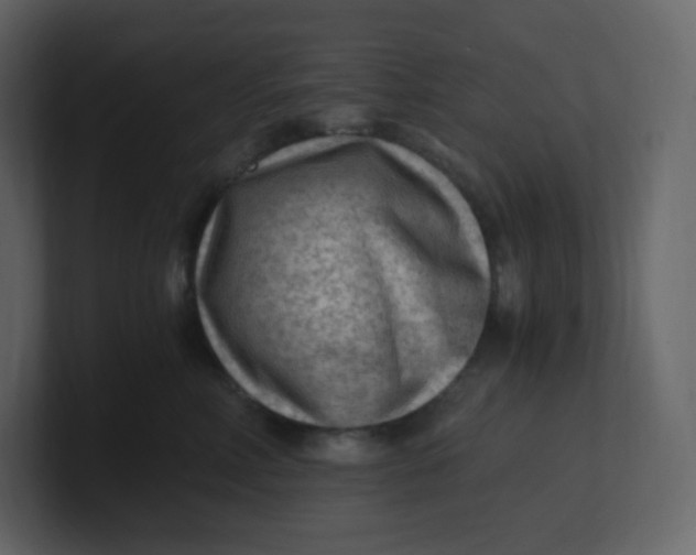 X0000100940618200807151307