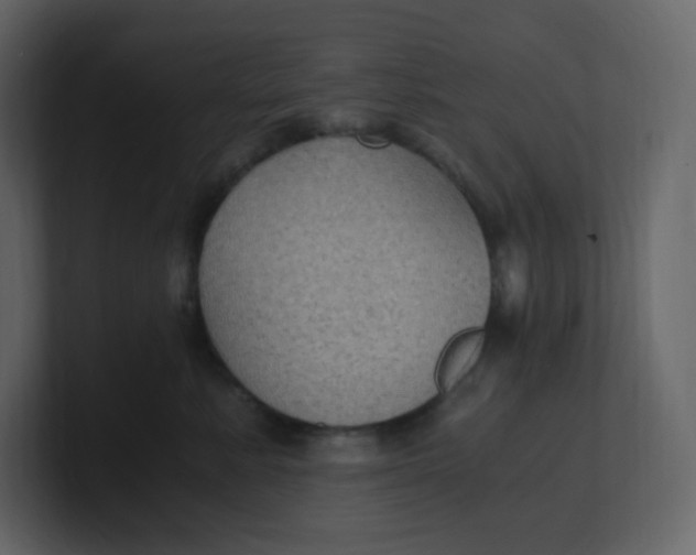 X0000100940619200807151307