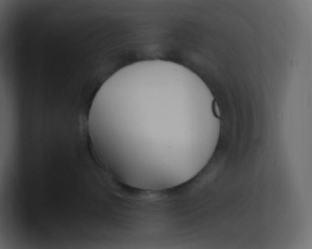 X0000100940624200807151307