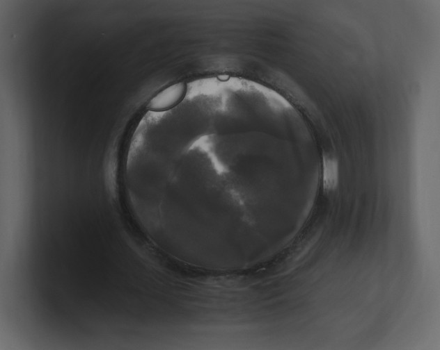 X0000100940627200807151307