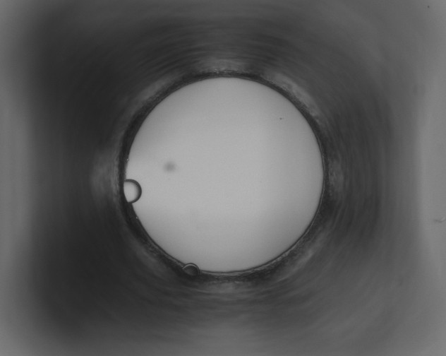 X0000100940629200807151307