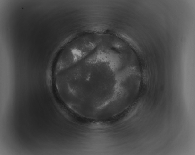 X0000100940634200807151307