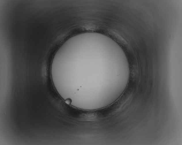 X0000100940639200807151307