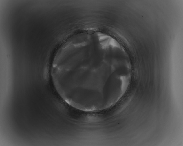 X0000100940641200807151307