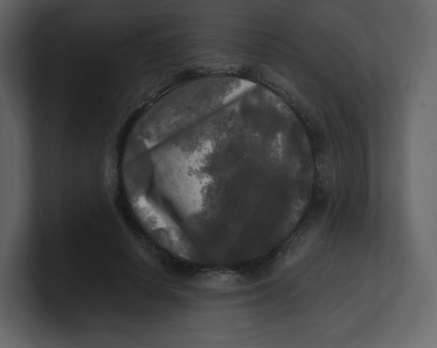 X0000100940642200807151307