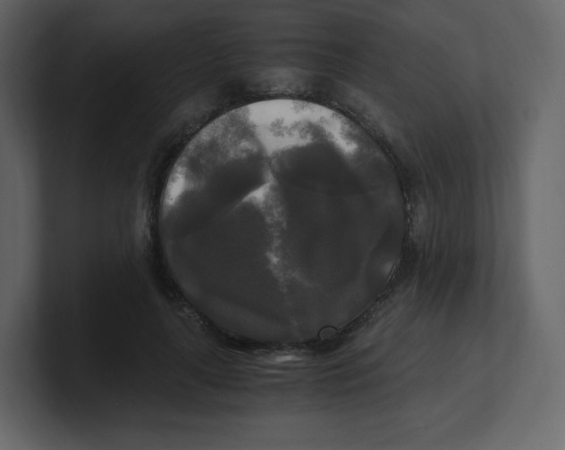 X0000100940643200807151307