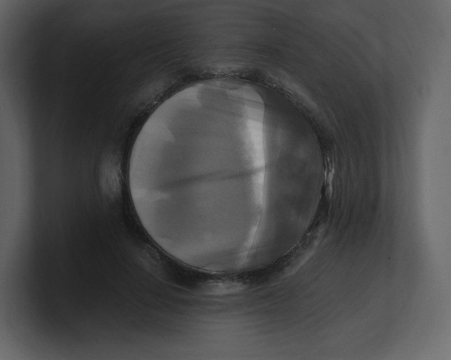 X0000100940644200807151307