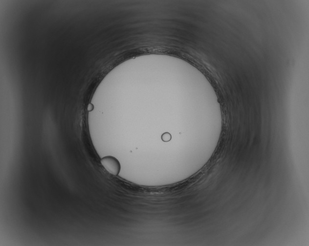 X0000100940645200807151307