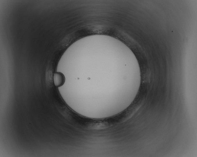 X0000100940646200807151307