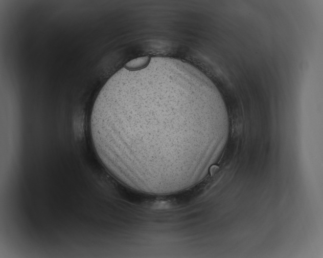 X0000100940647200807151307