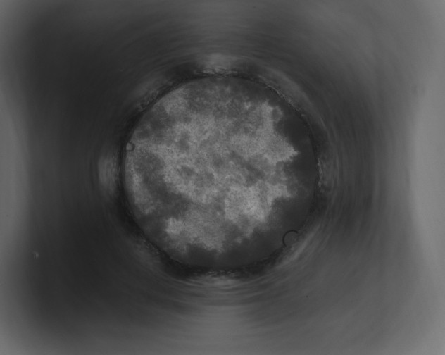 X0000100940648200807151307