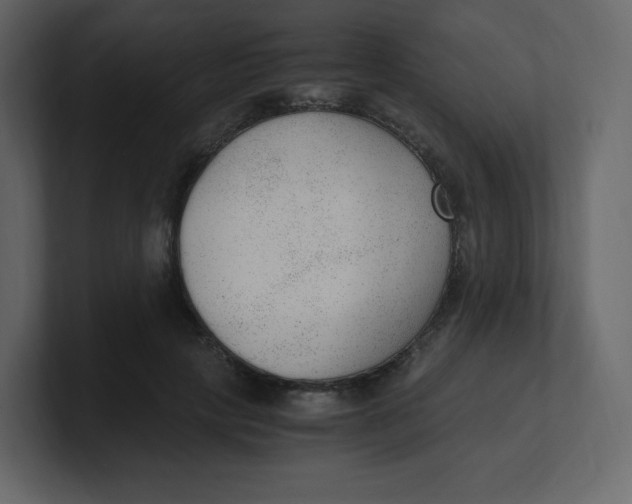 X0000100940649200807151307