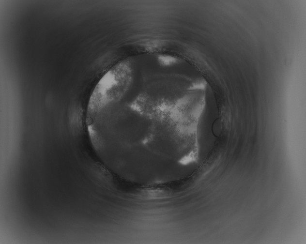 X0000100940650200807151307