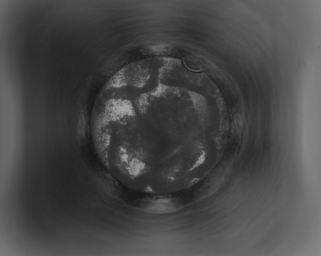 X0000100940651200807151307