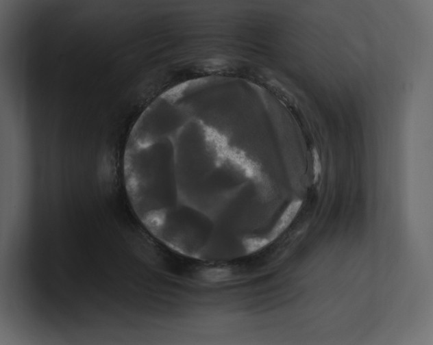 X0000100940653200807151307