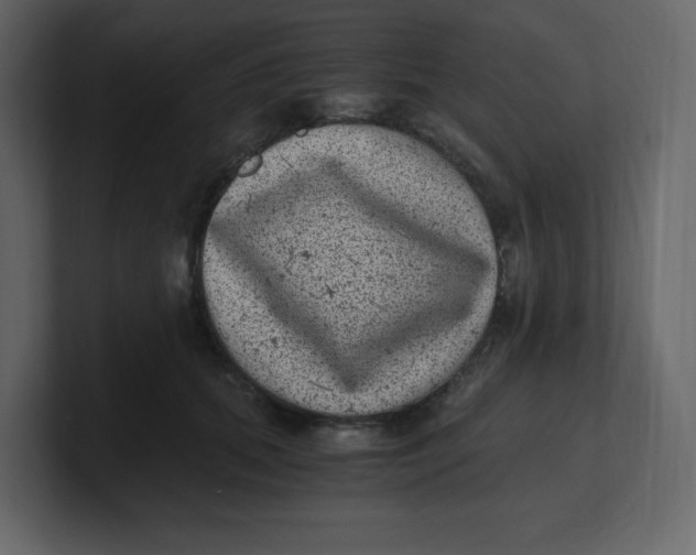 X0000100940655200807151307