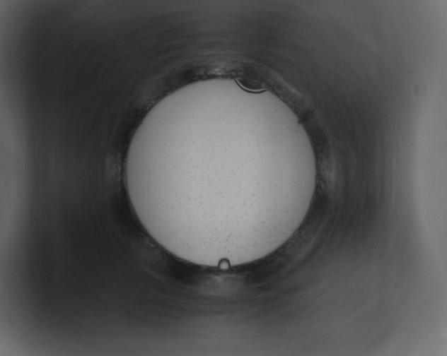 X0000100940657200807151307